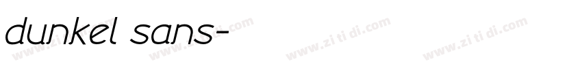 dunkel sans字体转换 dunkel sans字体转换